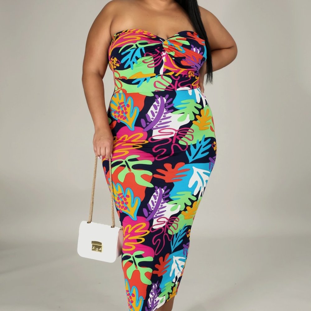 Beautiful  Colorful Plus Size Sun Dress 1 to 3X